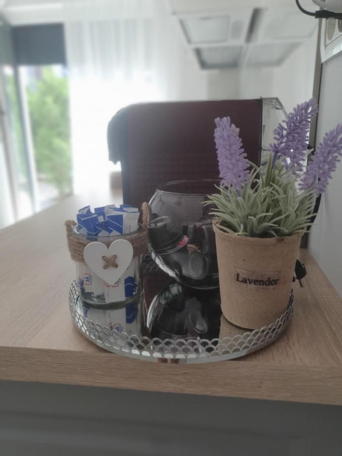 Ale House Apartment Oradea Luaran gambar